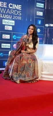 Celebrities at Zee Cine Awards 2018 - 23 of 34