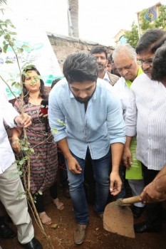 Celebrities Participates in Haritha Haram Program - 14 of 100