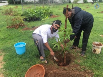 Celebrities Participates in Haritha Haram Program - 17 of 100