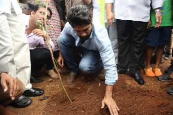 Celebrities Participates in Haritha Haram Program - 26 of 100