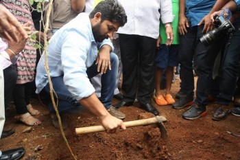 Celebrities Participates in Haritha Haram Program - 40 of 100