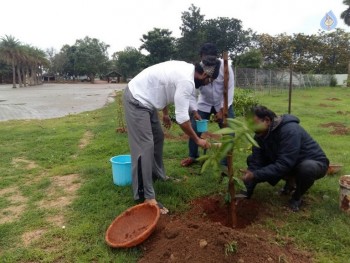Celebrities Participates in Haritha Haram Program - 44 of 100
