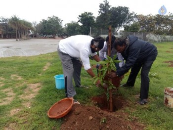 Celebrities Participates in Haritha Haram Program - 54 of 100