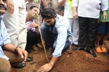 Celebrities Participates in Haritha Haram Program - 62 of 100