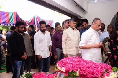 Celebrities Pay Homage To Nandamuri Harikrishna Set 3 - 24 of 39