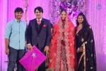 Celebs at Ali Brother Khayum Wedding Reception 02 - 27 of 165
