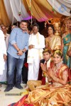 Celebs at Anand Prasad Daughter Wedding Photos - 6 of 15