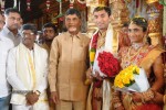 Celebs at Anand Prasad Daughter Wedding Photos - 9 of 15