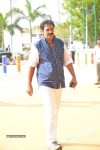 Celebs at Manchu Manoj Wedding  - 23 of 63