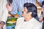 Celebs at NATS 2013 Telugu Sambaralu- Day 1 - 67 of 140