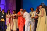 Celebs at NATS 2013 Telugu Sambaralu- Day 3 - 57 of 99