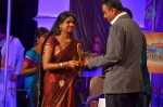 Celebs at NATS 2013 Telugu Sambaralu- Day 3 - 79 of 99