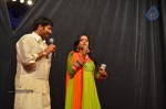 Celebs at NATS 2013 Telugu Sambaralu- Day 3 - 81 of 99