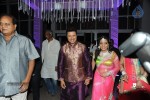 Celebs at Raja Wedding Reception - 114 of 148