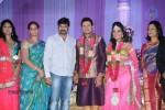 Celebs at Raja Wedding Reception - 129 of 148