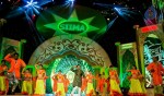 Celebs at SIIMA 2014 - 291 of 431