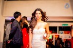 Celebs at SIIMA 2014 - 342 of 431