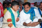 Chandrababu Indefinite Fast Photos - 29 of 83