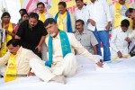 Chandrababu Indefinite Fast Photos - 38 of 83