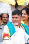 Chandrababu Indefinite Fast Photos - 36 of 83