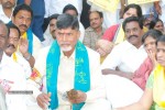 Chandrababu Indefinite Fast Photos - 38 of 83