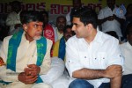 Chandrababu Indefinite Fast Photos - 44 of 83