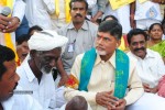 Chandrababu Indefinite Fast Photos - 52 of 83