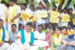 Chandrababu Indefinite Fast Photos - 82 of 83