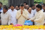 Chandrababu Naidu at NTR Ghat - 6 of 15