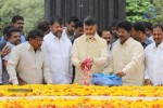 Chandrababu Naidu at NTR Ghat - 8 of 15