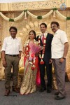 Chennai Kamala Theater MD Son Reception - 32 of 60
