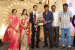 Chennai Kamala Theater MD Son Reception - 38 of 60
