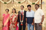 Chennai Kamala Theater MD Son Reception - 40 of 60