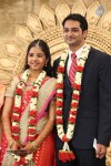 Chennai Kamala Theater MD Son Reception - 30 of 60