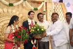 Chennai Kamala Theater MD Son Reception - 31 of 60