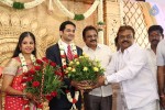 Chennai Kamala Theater MD Son Reception - 42 of 60