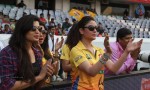 Chennai Rhinos Vs Karnataka Bulldozers Match Photos - 168 of 150