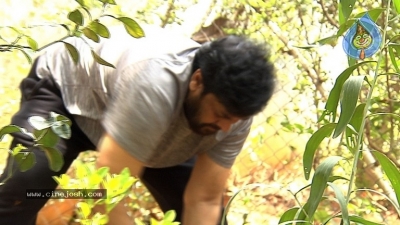 Chiranjeevi Accepts Haritha Haram Challenge - 5 of 9