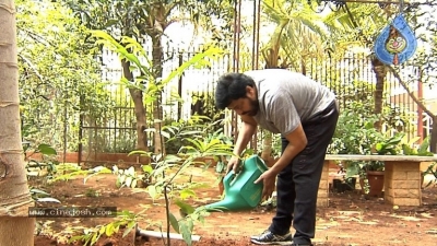 Chiranjeevi Accepts Haritha Haram Challenge - 7 of 9