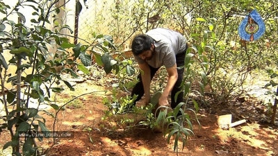 Chiranjeevi Accepts Haritha Haram Challenge - 8 of 9