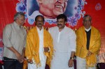 Chiranjeevi at Bapu's Film Festival 2014 - 200 of 304