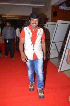 CineMAA awards 2015 Red Carpet - 73 of 89