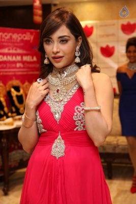 Diamond Mela Grand Launch at Manepally Jewellers  - 3 of 35