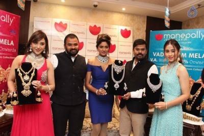 Diamond Mela Grand Launch at Manepally Jewellers  - 10 of 35