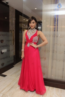 Diamond Mela Grand Launch at Manepally Jewellers  - 14 of 35