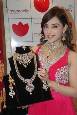 Diamond Mela Grand Launch at Manepally Jewellers  - 17 of 35