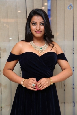 Diamond Mela Grand Launch at Manepally Jewellers  - 20 of 35