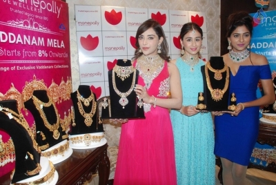 Diamond Mela Grand Launch at Manepally Jewellers  - 22 of 35