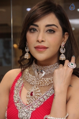Diamond Mela Grand Launch at Manepally Jewellers  - 25 of 35