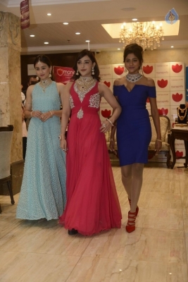 Diamond Mela Grand Launch at Manepally Jewellers  - 29 of 35